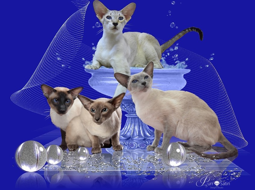 D - 35396 Giessen.jpg